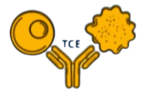 From Biology to Modeling